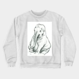 Big Baby Crewneck Sweatshirt